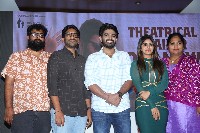 Nenu Meeku Baga Kavalsina Vadini Movie Trailer Launch